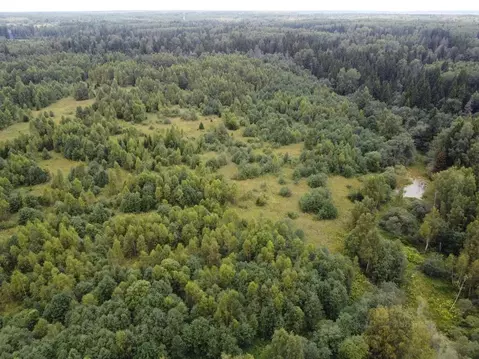 Участок в Московская область, Волоколамский муниципальный округ, д. ...