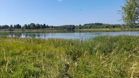 Участок в Тверская область, Зубцовский муниципальный округ  (33.7 ...