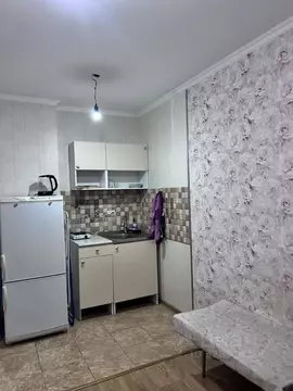 Студия Новосибирская область, Новосибирск ул. Виктора Уса, 13 (20.0 м)