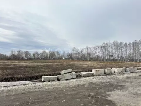 Участок в Тюменская область, Тюменский район, с. Луговое Плодовая ул. ...