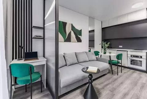 Студия Санкт-Петербург просп. Обуховской обороны, 36 (24.9 м)