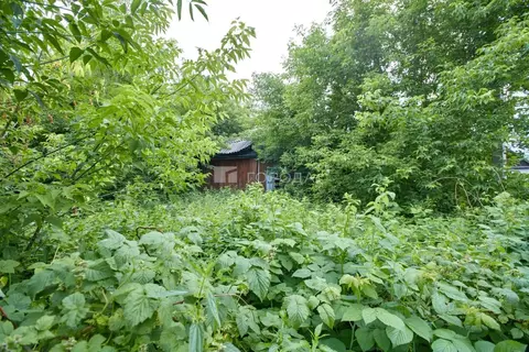 Дом в Кемеровская область, Прокопьевск ул. Шишкиной, 58 (51 м)