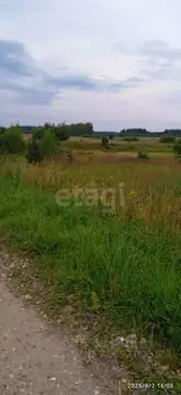 Участок в Ярославская область, Некрасовский муниципальный округ, ...