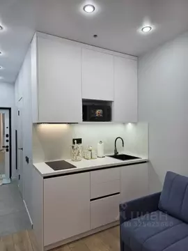 Студия Москва Березовая аллея, 19к4 (15.3 м)