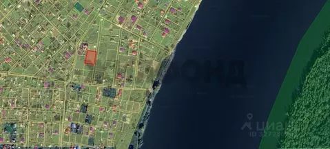 Участок в Новосибирская область, Колыванский район, Радон СНТ  (11.0 ...