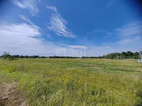 Участок в Тюменская область, Нижнетавдинский муниципальный округ, пос. ...