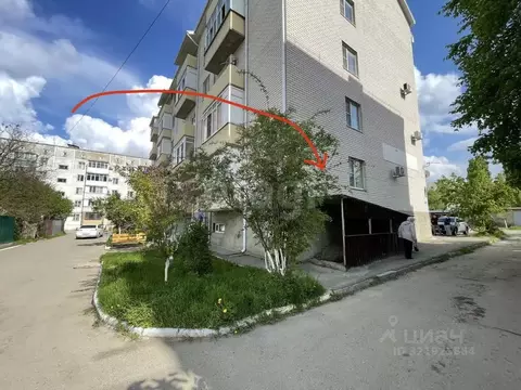 Помещение свободного назначения в Ставропольский край, Михайловск ...