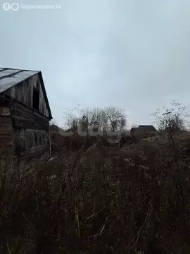 Участок в Толмачево, СДТ Мир (5 м)