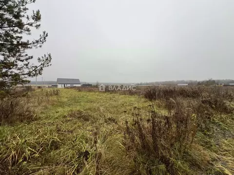 Участок в Владимирская область, Судогодский район, с. Чамерево  (15.0 ...