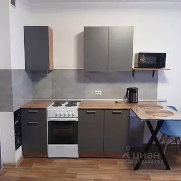 Студия Санкт-Петербург ул. Корнея Чуковского, 7к2 (30.0 м)