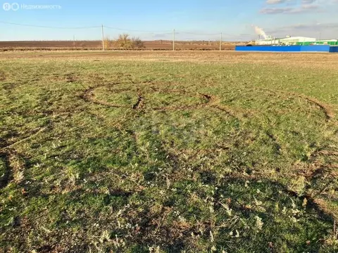 Участок в Мишкинское сельское поселение, хутор Киров (6 м)