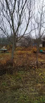 Дом в Тамбовская область, Тамбов Ромашка СНТ, 6 (15 м)