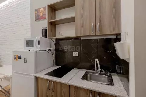 Студия Санкт-Петербург Невский просп., 91 (20.0 м)