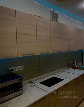 Студия Белгородская область, Белгород ул. Семейная, 9 (30.0 м)