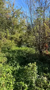 Дом в Рязанская область, Рязань пос. Мехзавода, ул. Павловская (40 м)