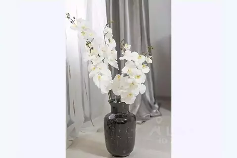 1-к кв. Вологодская область, Вологда ул. Гоголя, 99 (32.0 м)