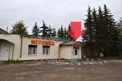 Помещение свободного назначения в Новгородская область, Великий ...