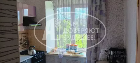 2-к кв. Пермский край, Лысьва ул. Ленина, 46/2 (40.0 м)