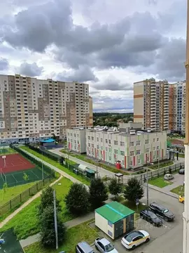 Студия Московская область, Домодедово Южный мкр, ул. Курыжова, 14 ...