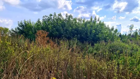 Участок в Челябинская область, Верхнеуральский муниципальный округ, ...