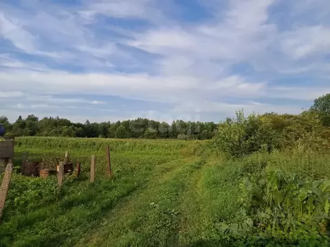 Участок в Ленинградская область, Волховский район, Усадищенское с/пос, ...