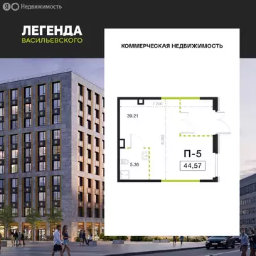 Помещение свободного назначения (44.57 м)
