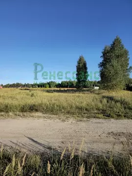 Участок в Брянская область, Брянский район, Нетьинское с/пос, д. ...