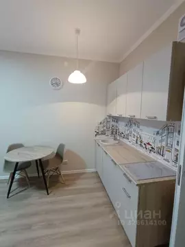 Студия Санкт-Петербург пос. Шушары, ул. Нины Петровой, 7к1 (22.8 м)