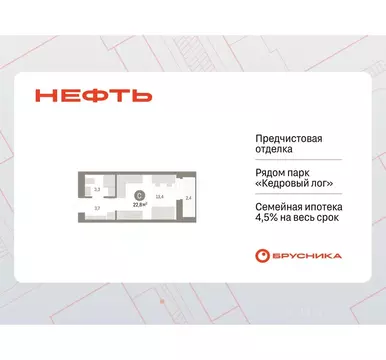 Студия Ханты-Мансийский АО, Сургут 1-й мкр, Нефть жилой комплекс (22.8 ...