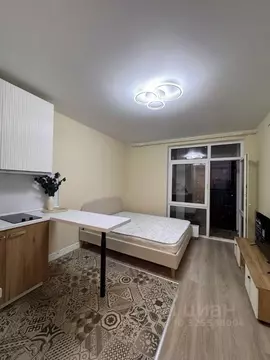 Студия Москва просп. Прокшинский, 12 (22.5 м)