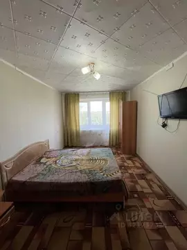 1-к кв. Оренбургская область, Ясный ул. Парковая, 18 (30.6 м)