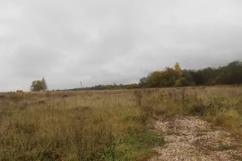 Участок в Московская область, Шаховская муниципальный округ, д. ...