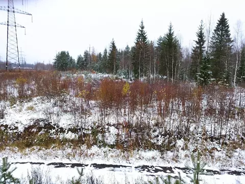 Участок в Новгородская область, Окуловский район, Березовикское с/пос  ...