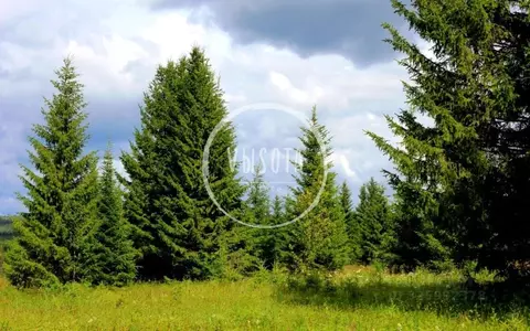 Участок в Московская область, Одинцовский городской округ, д. Жуковка, ...