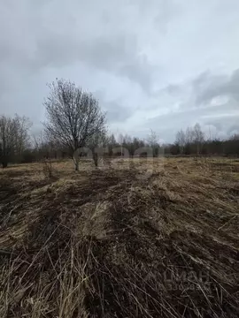 Участок в Марий Эл, Советский городское поселение, Советский пгт ул. ...
