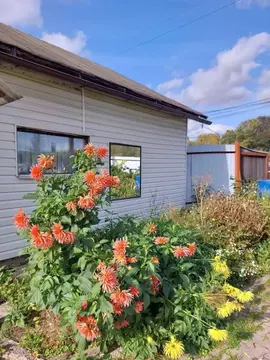 Дом в Новгородская область, Новгородский район, Савинское с/пос, д. ...