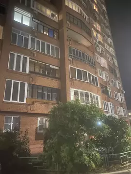 1-к кв. Ярославская область, Ярославль ул. Калинина, 33к2 (37.6 м)