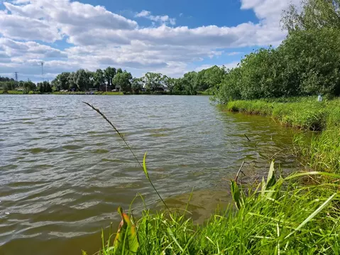 Участок в Московская область, Домодедово Белые Столбы мкр, ул. Привато ...