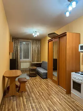 Студия Красноярский край, Красноярск ул. Вильского, 16 (27.0 м)