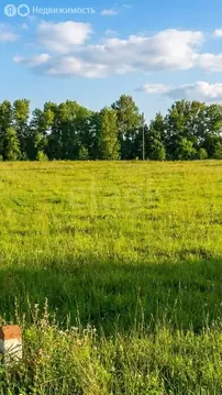 Участок в Кабанский район, село Исток (9 м)