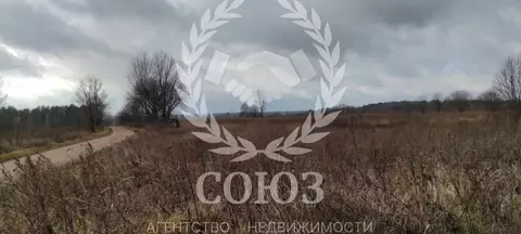 Участок в Калужская область, Мосальский муниципальный округ, Раменский ...