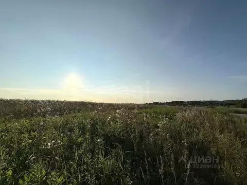 Участок в Вологодская область, с. Первомайское  (8.0 сот.)
