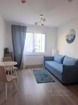 Студия Санкт-Петербург ул. Пахомовская, 14к2 (21.0 м)