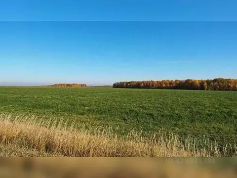 Участок в Смоленская область, Рославльский муниципальный округ, д. ...