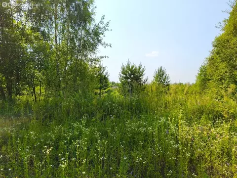 Участок в Московская область, Раменский муниципальный округ, село ...