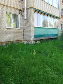 1-к кв. Владимирская область, Судогодский муниципальный округ, с. ...