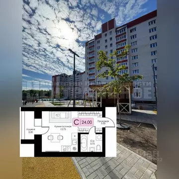 Студия Смоленская область, Смоленск пос. Загорье, Загорье жилой ...