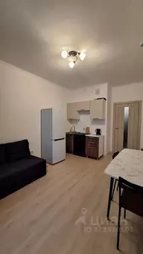 Студия Ленинградская область, Мурино Всеволожский район, бул. ...