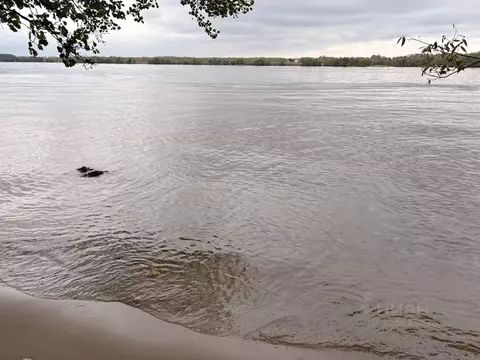 Участок в Тверская область, Кимрский муниципальный округ, д. Кадниково ...