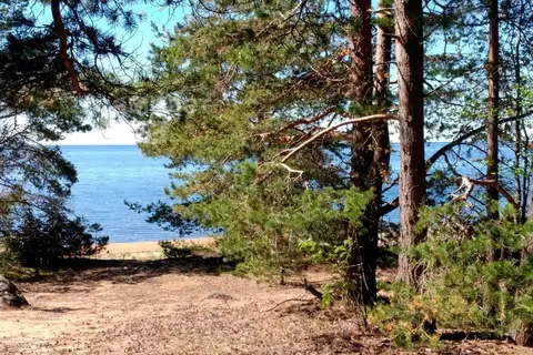 Участок в Карелия, Питкярантский муниципальный округ, д. Погранкондуши ...